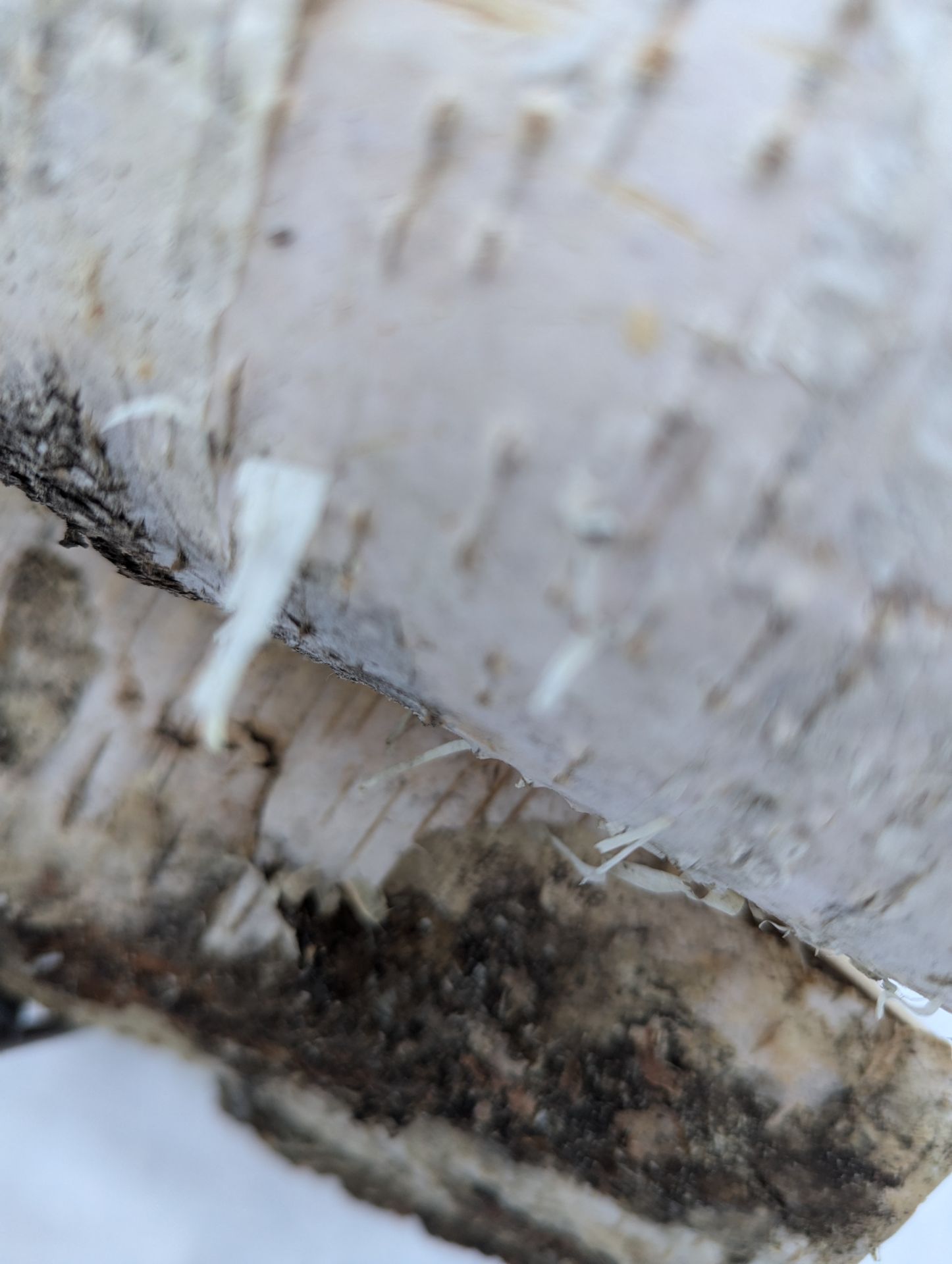 Mihkli küttepuud Küttepuude müük, Maja palkide vahetus, Laastukatuste ehitus, Küttepuud koos ladumisega Antsla ja Lõuna-Eesti