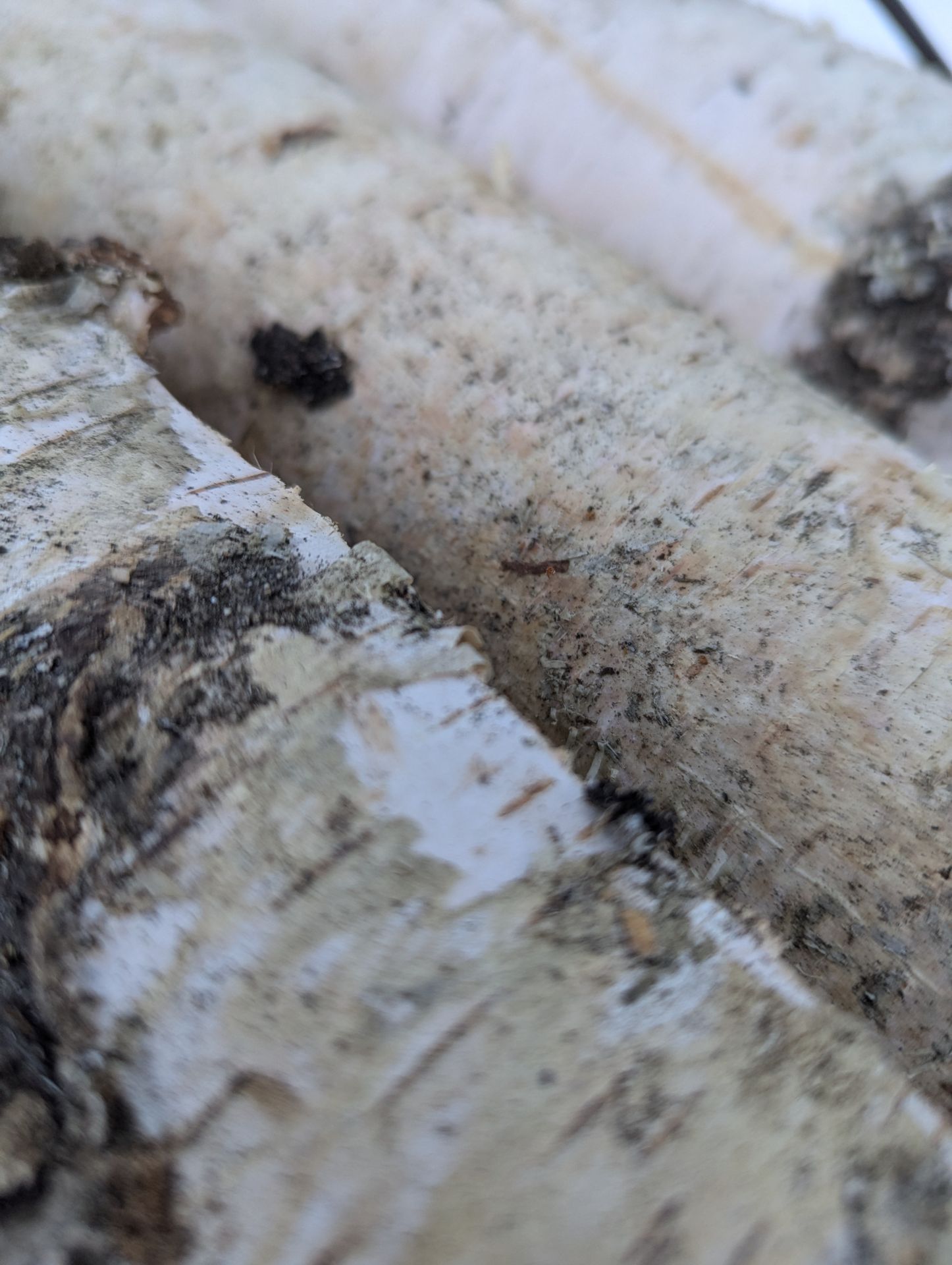 Mihkli küttepuud Küttepuude müük, Maja palkide vahetus, Laastukatuste ehitus, Küttepuud koos ladumisega Antsla ja Lõuna-Eesti